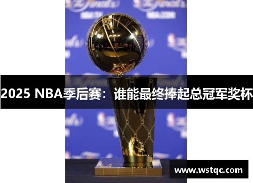 2025 NBA季后赛：谁能最终捧起总冠军奖杯