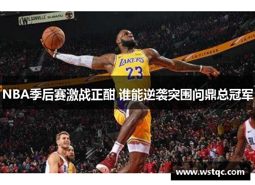 NBA季后赛激战正酣 谁能逆袭突围问鼎总冠军