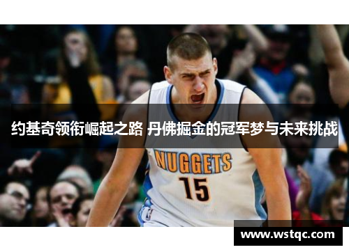 约基奇领衔崛起之路 丹佛掘金的冠军梦与未来挑战