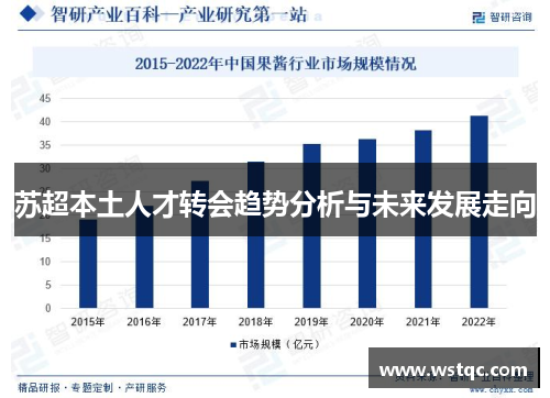 苏超本土人才转会趋势分析与未来发展走向